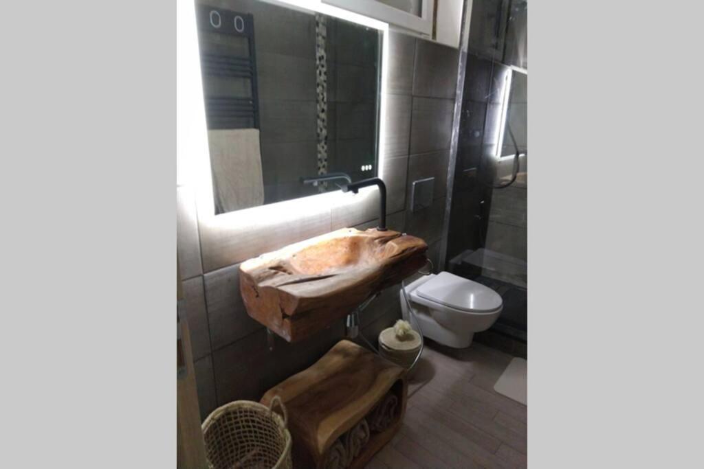 Chaleureux Petit Appartement De 4 Couchages Saint-Étienne-de-Tinée エクステリア 写真